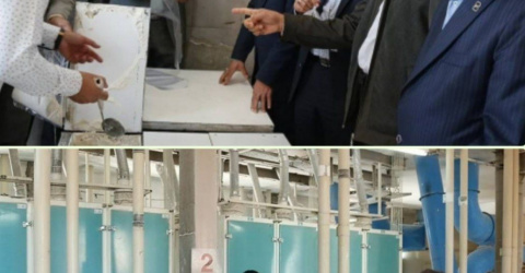 آغاز رسمی تولید آرد کامل در اردبیل